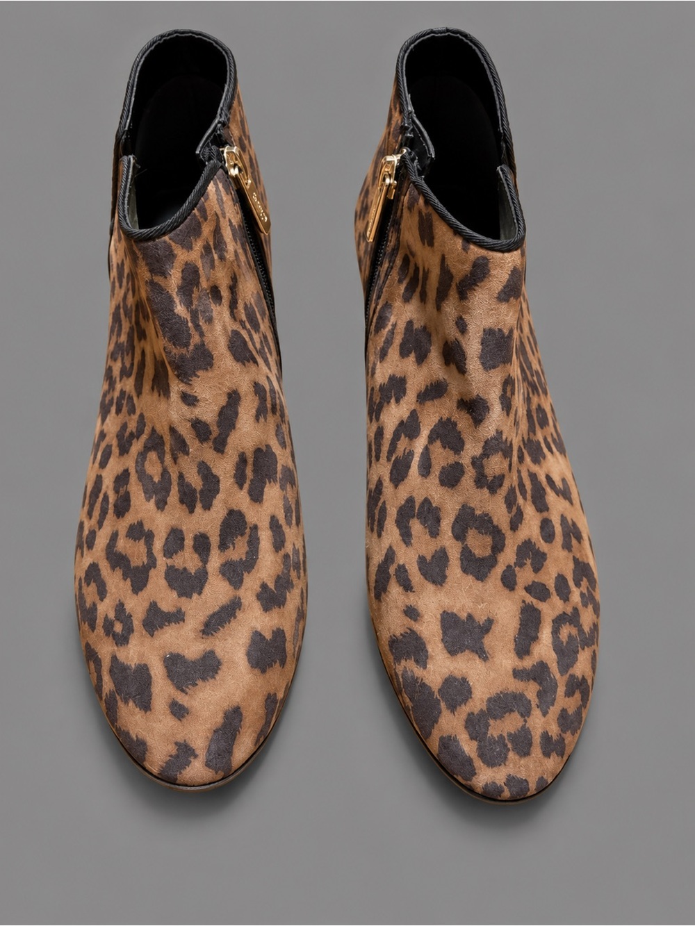 Circus by Sam Edelman cheetah ankle boots
